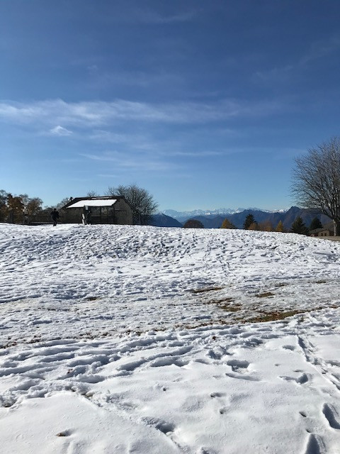pian delle betulle
